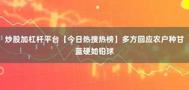 炒股加杠杆平台【今日热搜热榜】多方回应农户种甘蓝硬如铅球